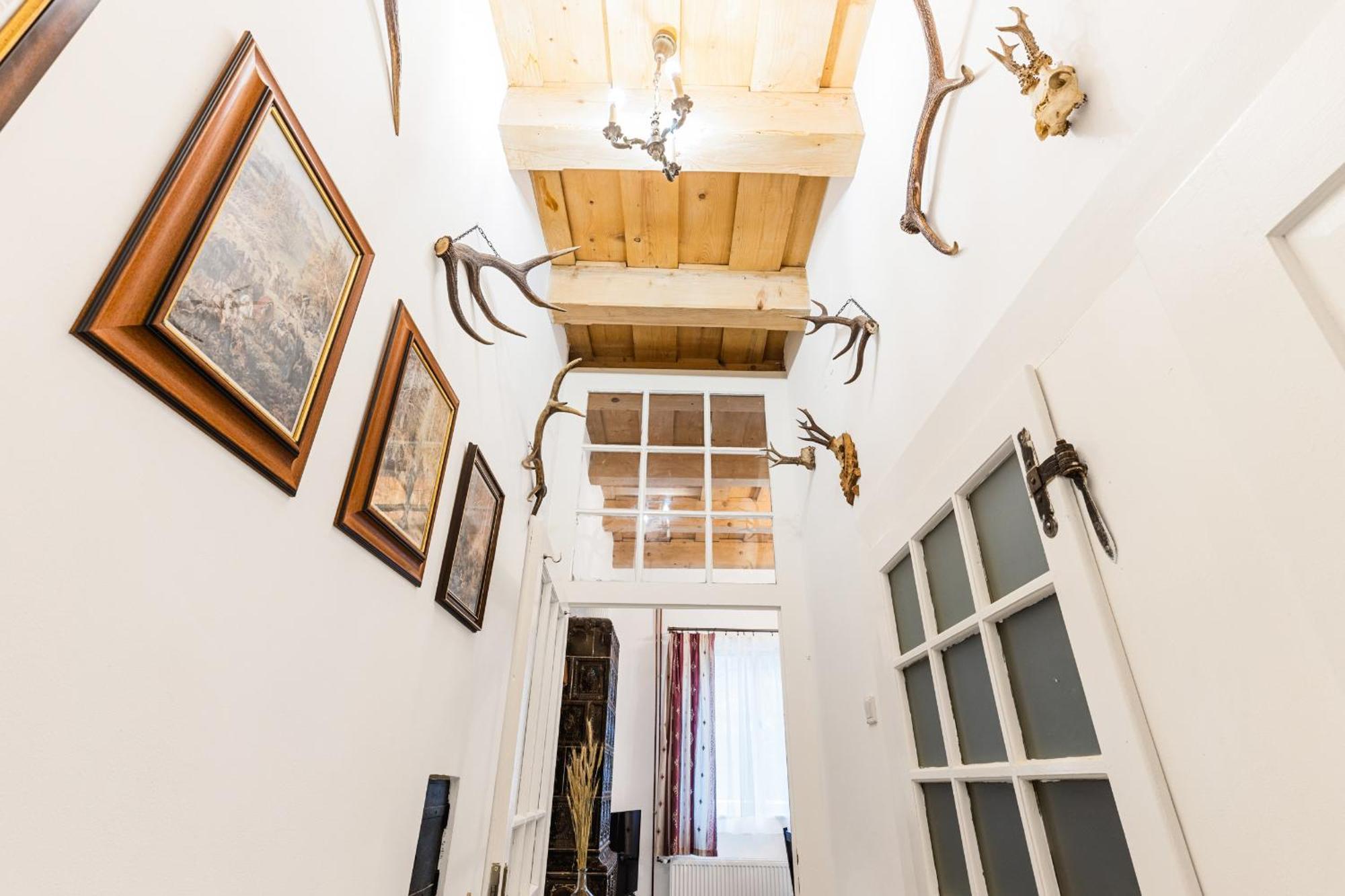 Sovi Dom- Historicke Apartmany Z 19 Storocia, 4Km Od Banskej Stiavnice Svätý Anton 外观 照片